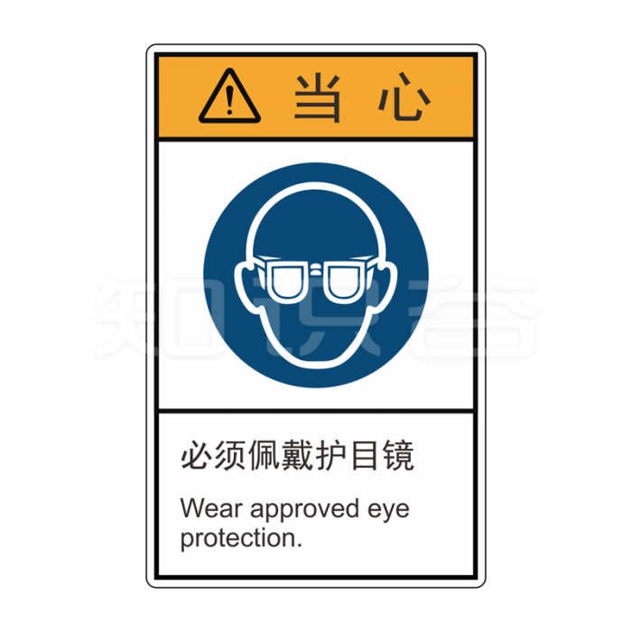 ISO/ANSI 标准 当心标志  佩戴护目镜